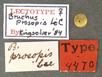 Media type: image;   Entomology 4470 Aspect: labels